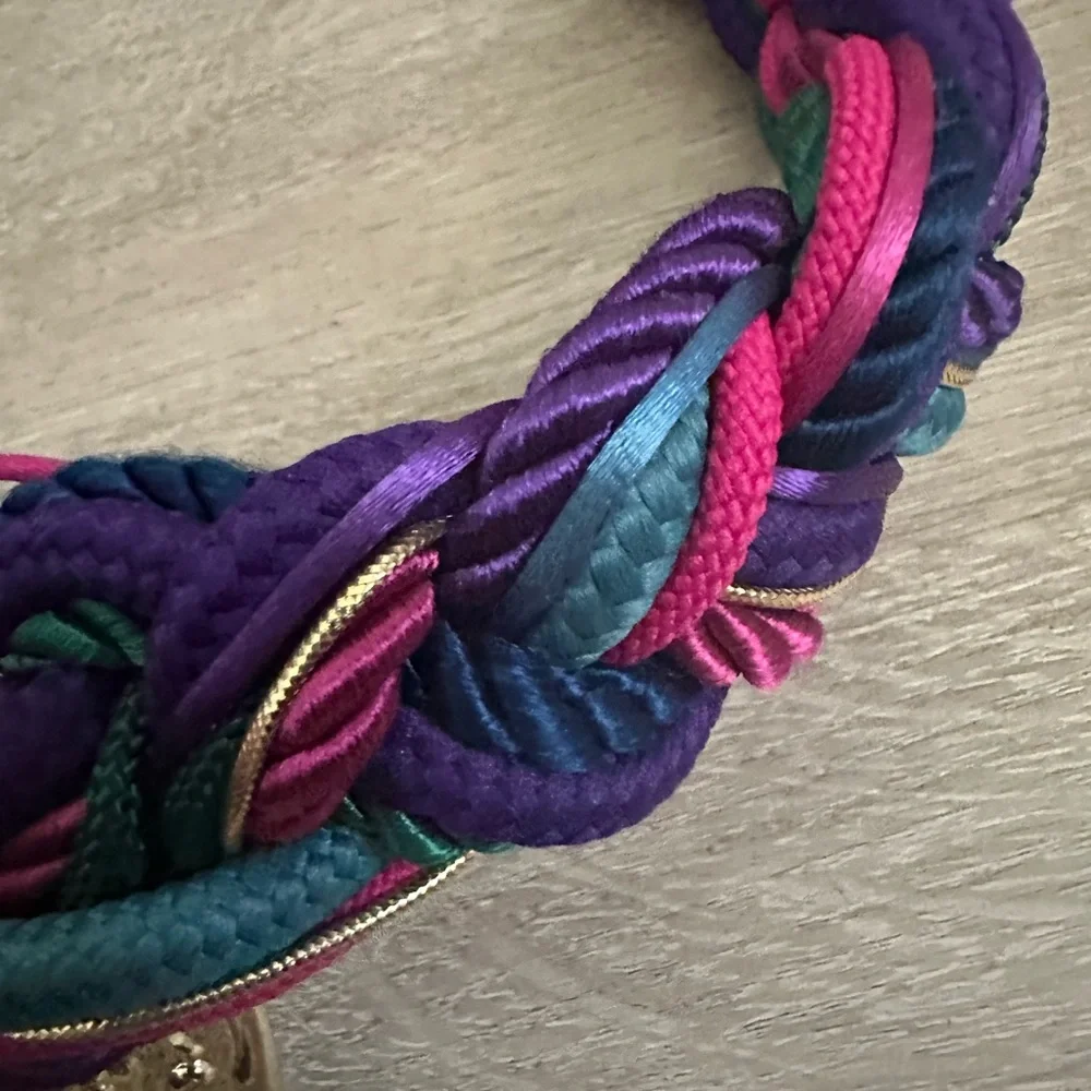 Multicolor Braided Belt with Gold Accent - Picture 4 of 7